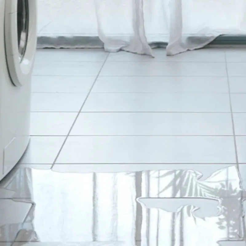 Appliance Leak Cleanup in Perry, FL