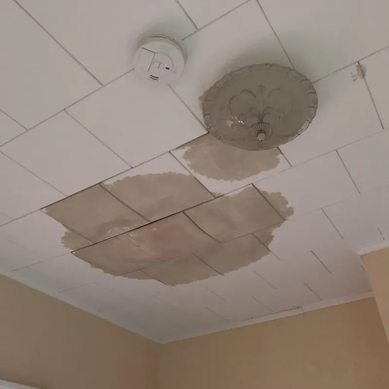 Ceiling Water Damage Repair in Perry, FL